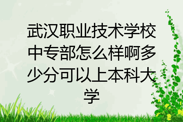 武汉职业技术学校中专部怎么样啊多少分可以上本科大学