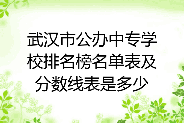 武汉市公办中专学校排名榜名单表及分数线表是多少