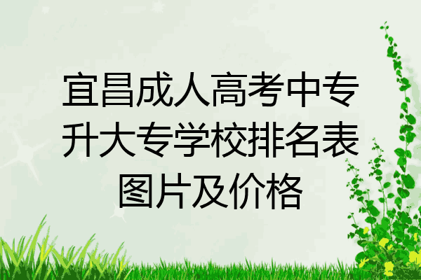 宜昌成人高考中专升大专学校排名表图片及价格