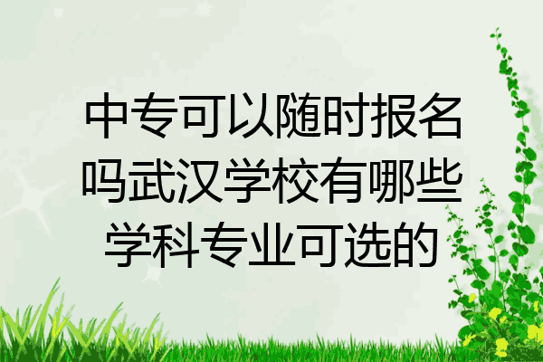 中专可以随时报名吗武汉学校有哪些学科专业可选的