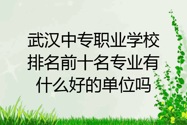 武汉中专职业学校排名前十名专业有什么好的单位吗