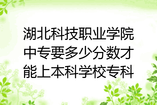 湖北科技职业学院中专要多少分数才能上本科学校专科