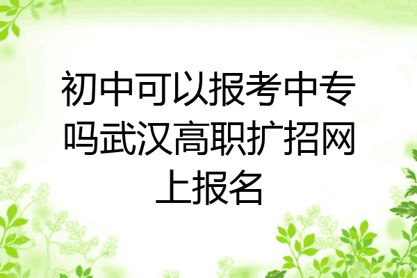 初中可以报考中专吗武汉高职扩招网上报名