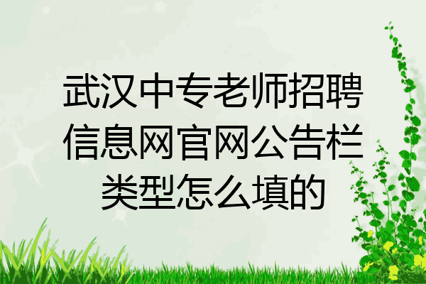 武汉中专老师招聘信息网官网公告栏类型怎么填的
