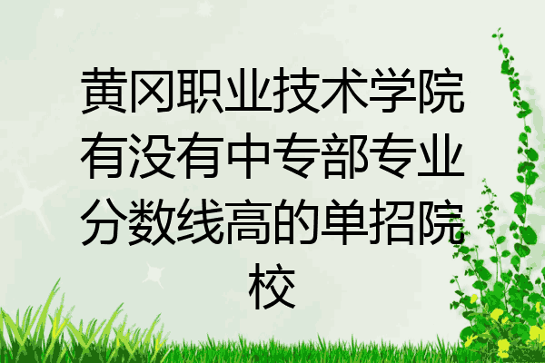 黄冈职业技术学院有没有中专部专业分数线高的单招院校