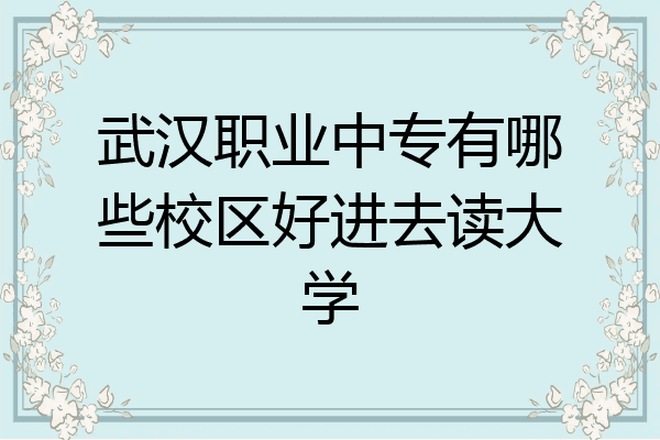 武汉职业中专有哪些校区好进去读大学