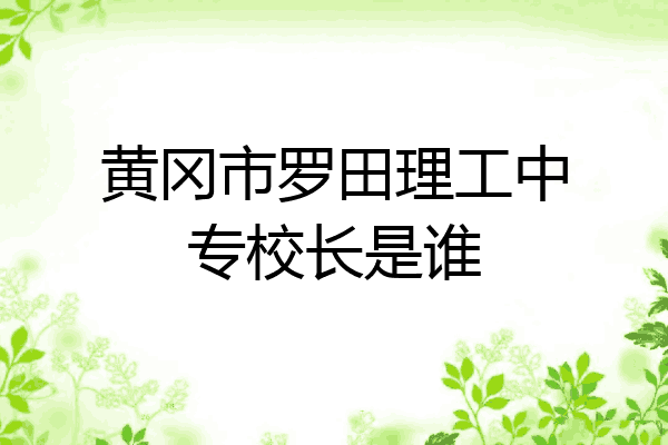 黄冈市罗田理工中专校长是谁