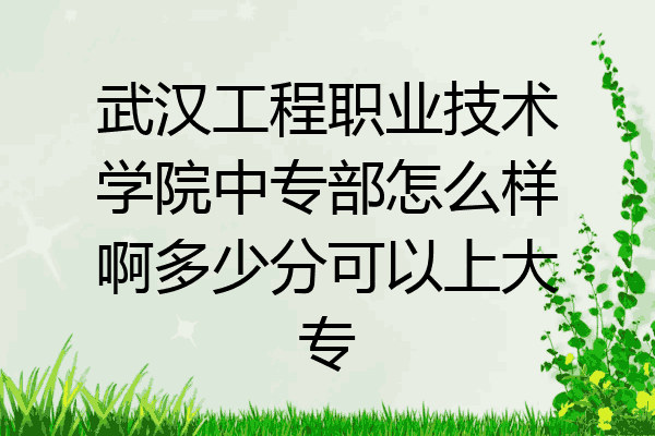 武汉工程职业技术学院中专部怎么样啊多少分可以上大专