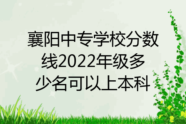 襄阳中专学校分数线2022年级多少名可以上本科