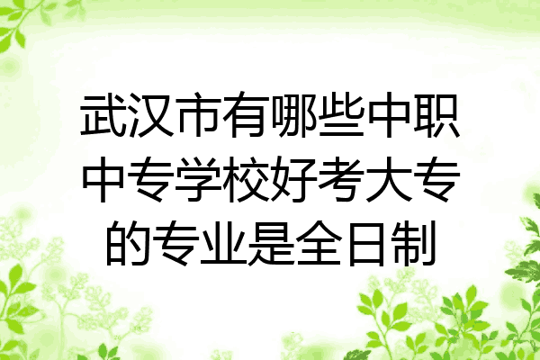 武汉市有哪些中职中专学校好考大专的专业是全日制