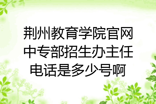 荆州教育学院官网中专部招生办主任电话是多少号啊