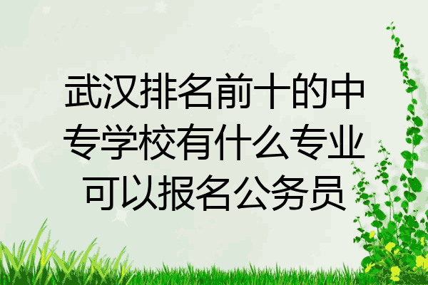 武汉排名前十的中专学校有什么专业可以报名公务员