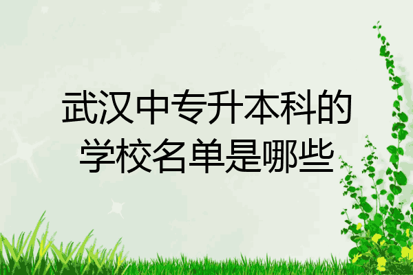 武汉中专升本科的学校名单是哪些