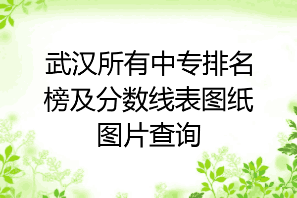 武汉所有中专排名榜及分数线表图纸图片查询