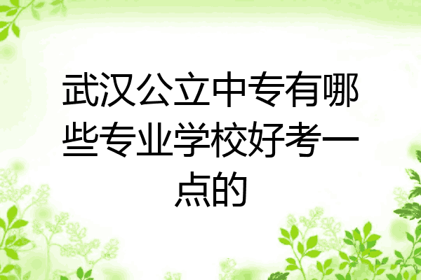 武汉公立中专有哪些专业学校好考一点的