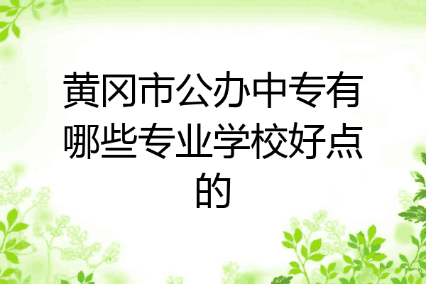 黄冈市公办中专有哪些专业学校好点的