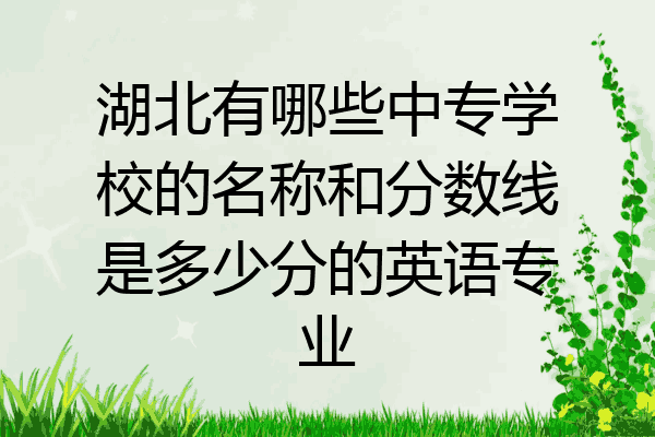 湖北有哪些中专学校的名称和分数线是多少分的英语专业