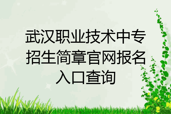 武汉职业技术中专招生简章官网报名入口查询