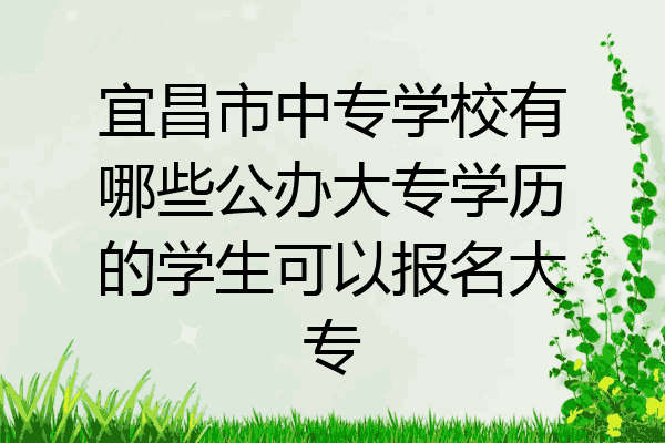 宜昌市中专学校有哪些公办大专学历的学生可以报名大专