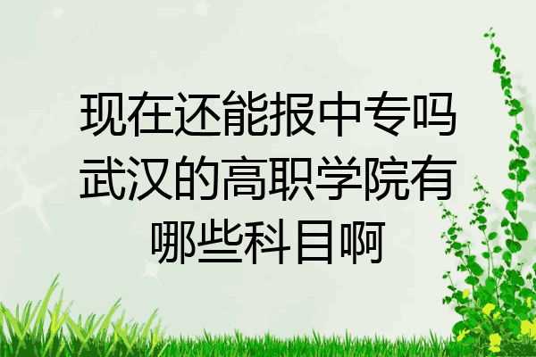 现在还能报中专吗武汉的高职学院有哪些科目啊