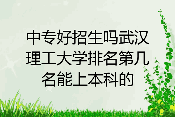 中专好招生吗武汉理工大学排名第几名能上本科的
