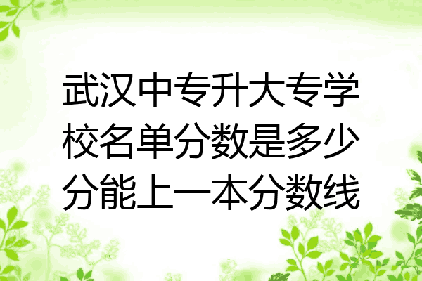 武汉中专升大专学校名单分数是多少分能上一本分数线