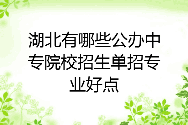 湖北有哪些公办中专院校招生单招专业好点