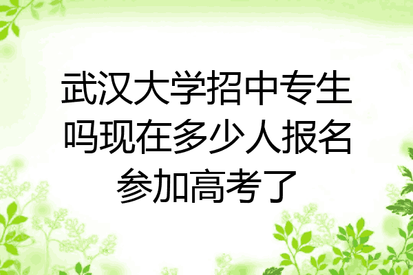 武汉大学招中专生吗现在多少人报名参加高考了