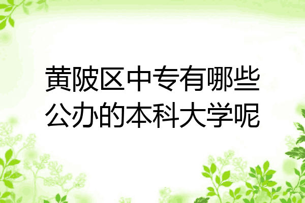 黄陂区中专有哪些公办的本科大学呢
