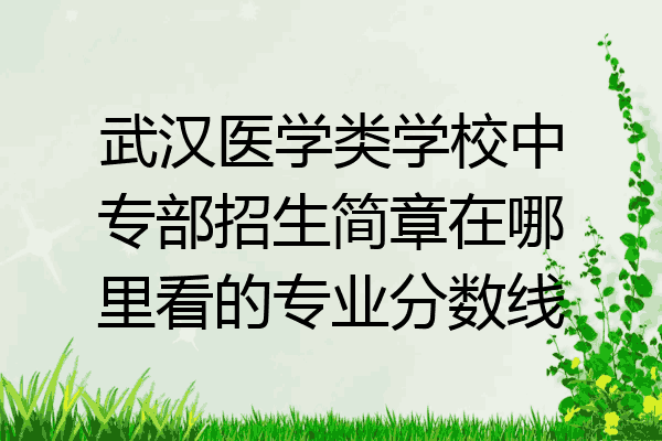 武汉医学类学校中专部招生简章在哪里看的专业分数线