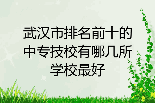 武汉市排名前十的中专技校有哪几所学校最好