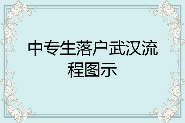 中专生落户武汉流程图示