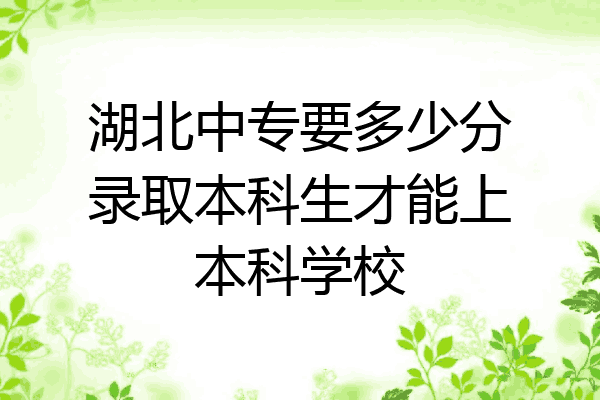 湖北中专要多少分录取本科生才能上本科学校