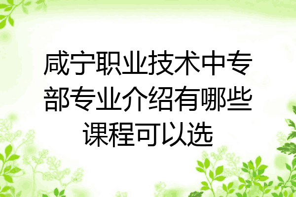 咸宁职业技术中专部专业介绍有哪些课程可以选