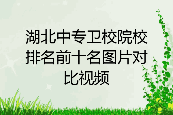 湖北中专卫校院校排名前十名图片对比视频
