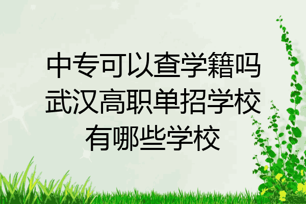 中专可以查学籍吗武汉高职单招学校有哪些学校