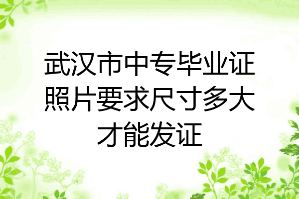 武汉市中专毕业证照片要求尺寸多大才能发证