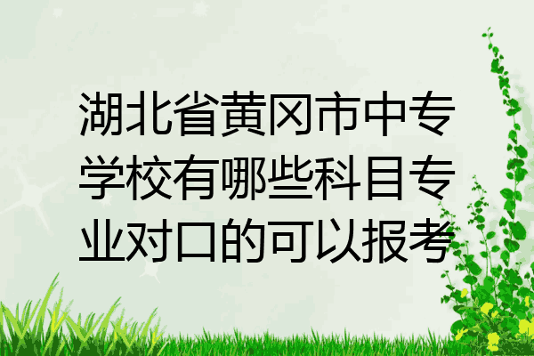 湖北省黄冈市中专学校有哪些科目专业对口的可以报考