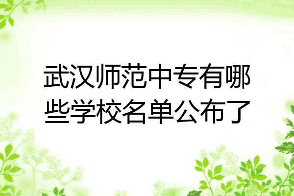 武汉师范中专有哪些学校名单公布了