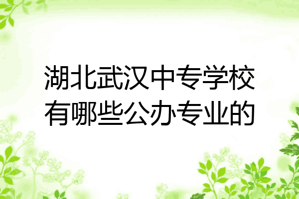 湖北武汉中专学校有哪些公办专业的