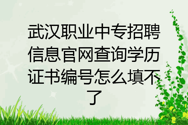武汉职业中专招聘信息官网查询学历证书编号怎么填不了