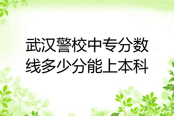 武汉警校中专分数线多少分能上本科