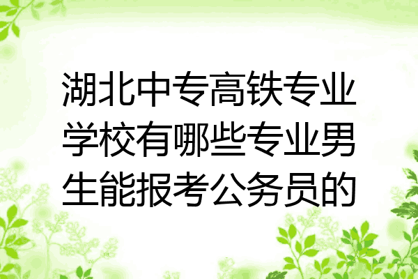 湖北中专高铁专业学校有哪些专业男生能报考公务员的