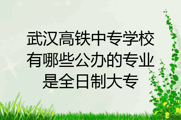武汉高铁中专学校有哪些公办的专业是全日制大专