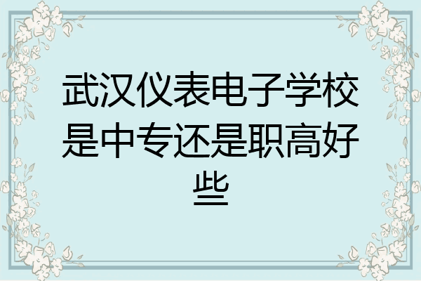 武汉仪表电子学校是中专还是职高好些