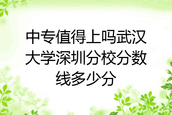 中专值得上吗武汉大学深圳分校分数线多少分