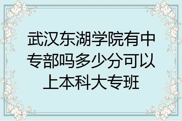 武汉东湖学院有中专部吗多少分可以上本科大专班