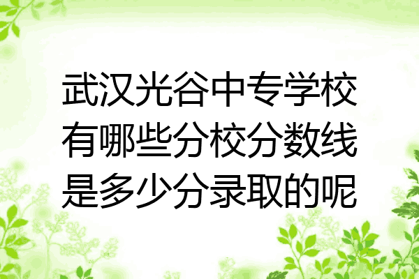 武汉光谷中专学校有哪些分校分数线是多少分录取的呢