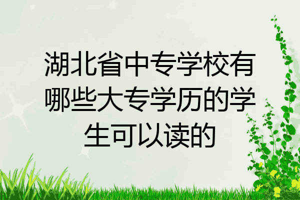 湖北省中专学校有哪些大专学历的学生可以读的