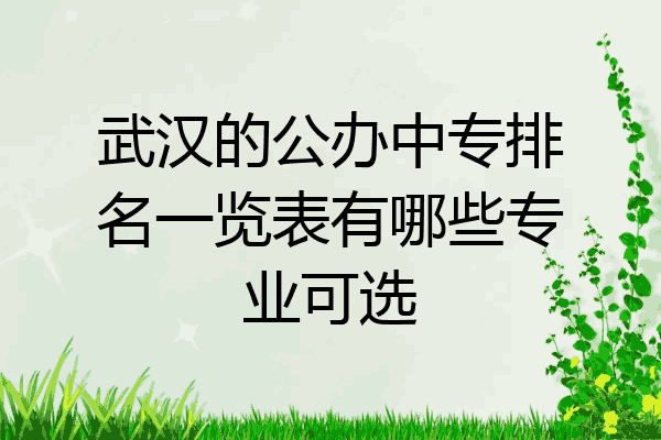 武汉的公办中专排名一览表有哪些专业可选